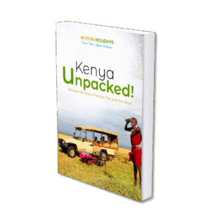 Kenya Unpacked | eBook